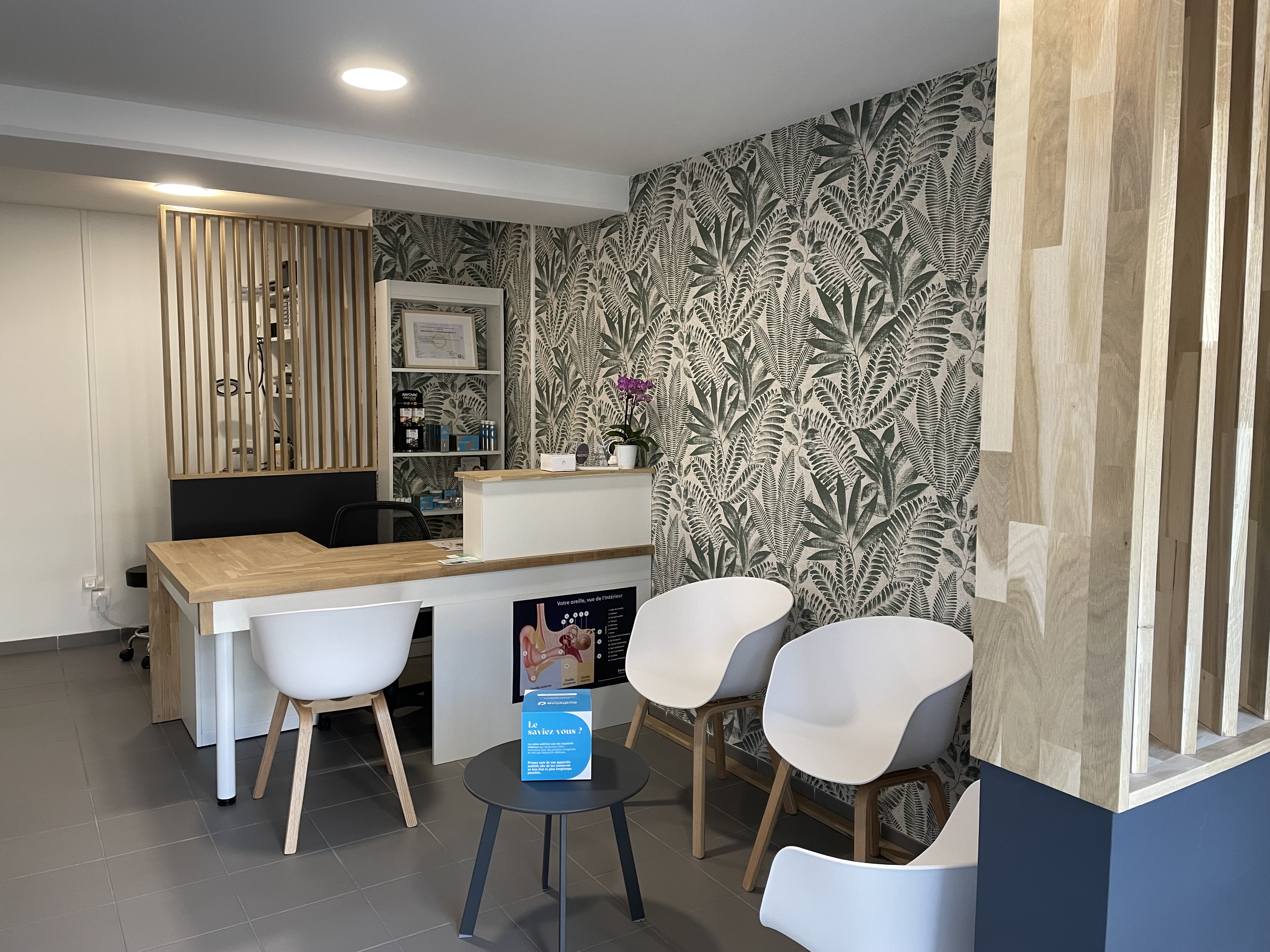 Photo du centre SAONE AUDITION